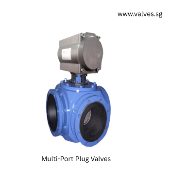 Multi-Port Plug Valves