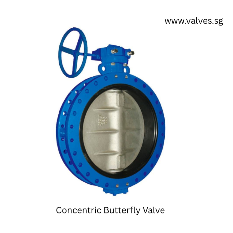 Concentric Butterfly Valve