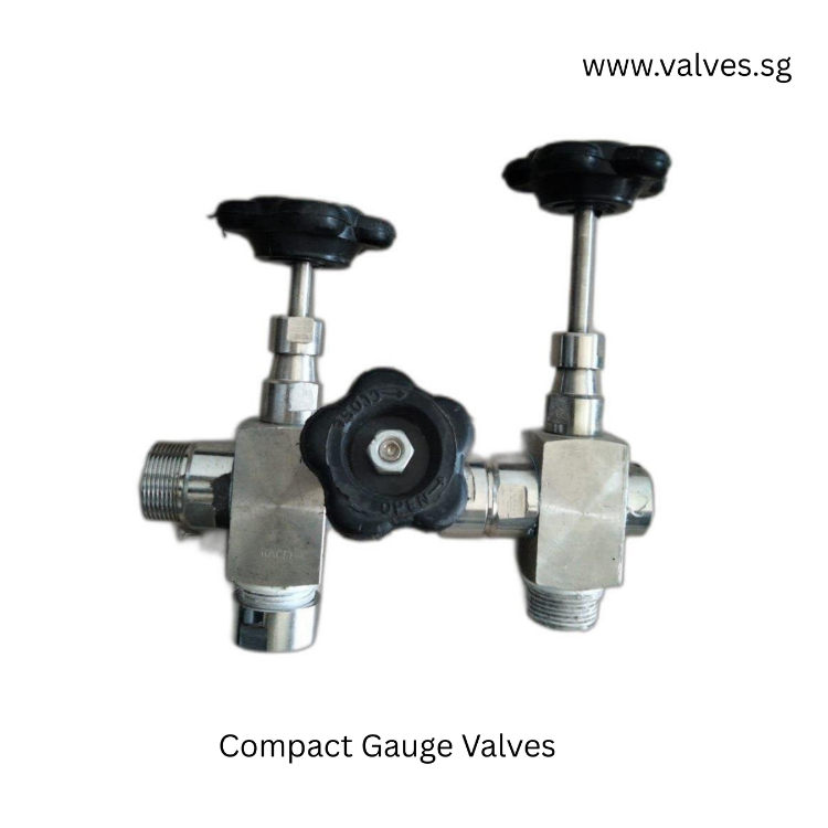 Compact Gauge Valves