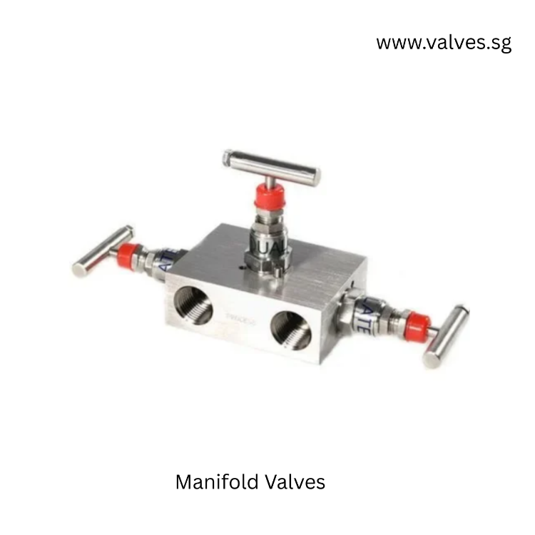Manifold Valves (2-way, 3-way, 5-way)