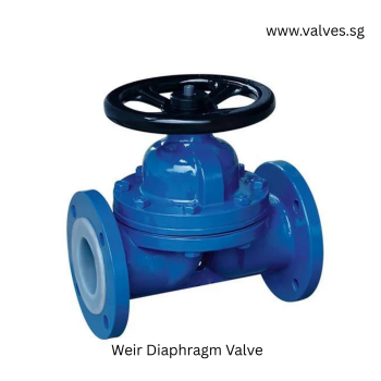 Swing Check Valves