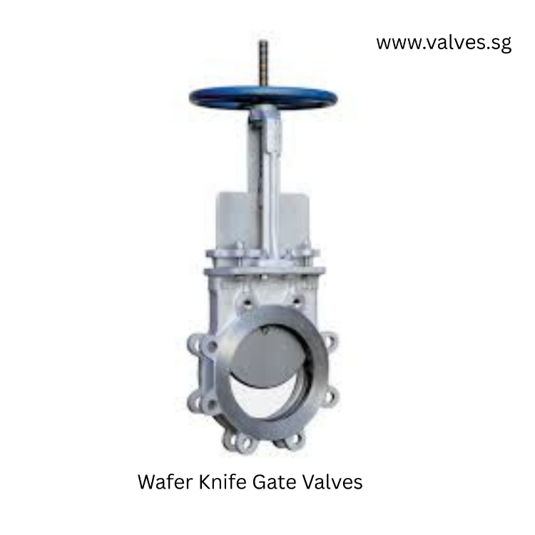 Lift Check Valves