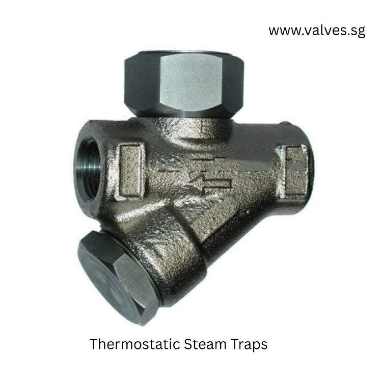 Tilting Disc Check Valves