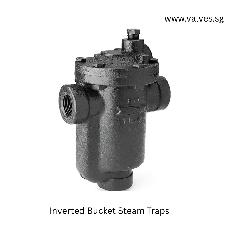 Inverted Bucket Steam Traps