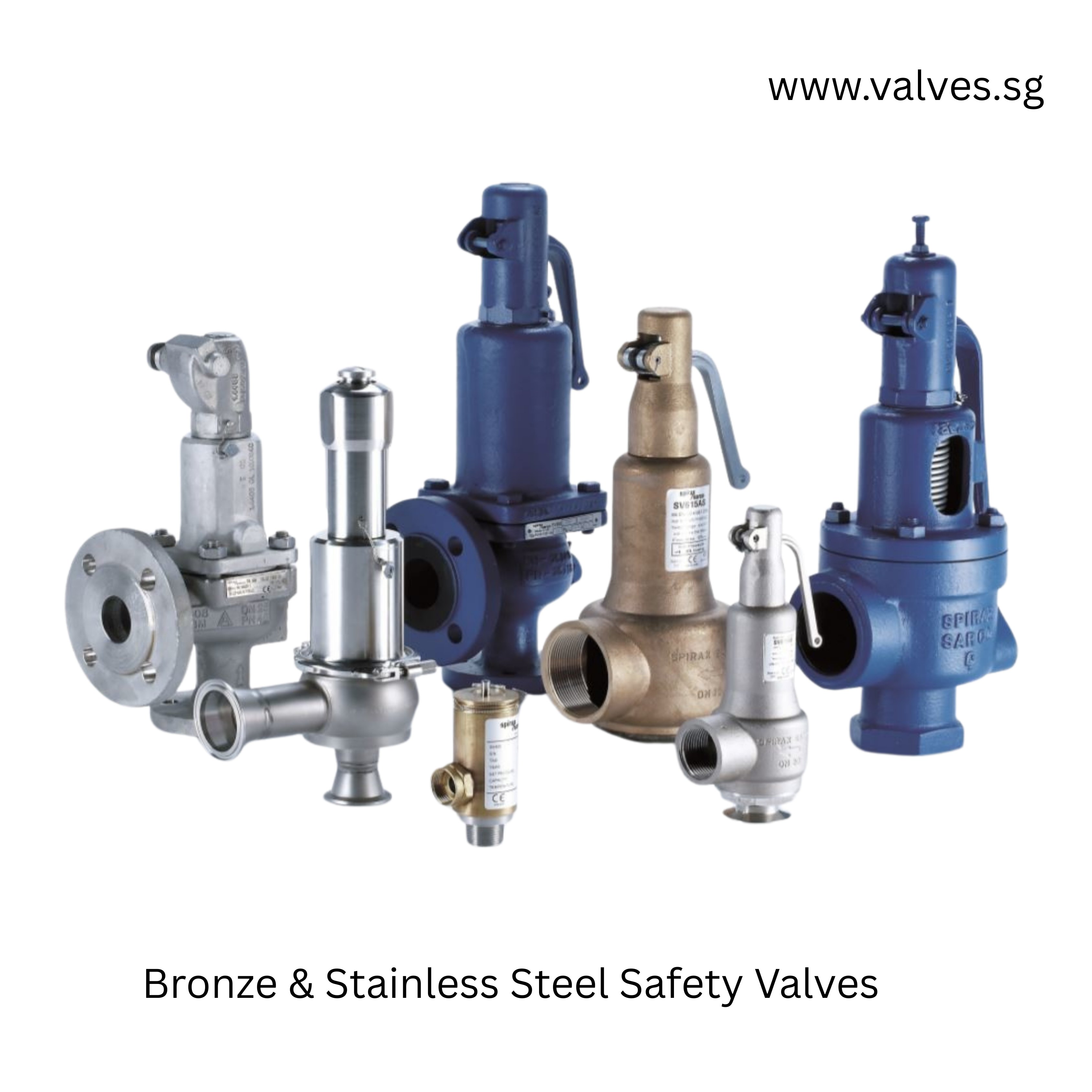 Bronze & Stainless Steel Safety Valves
