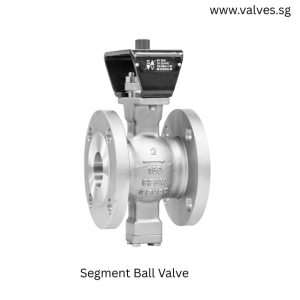 Segment Ball Valve