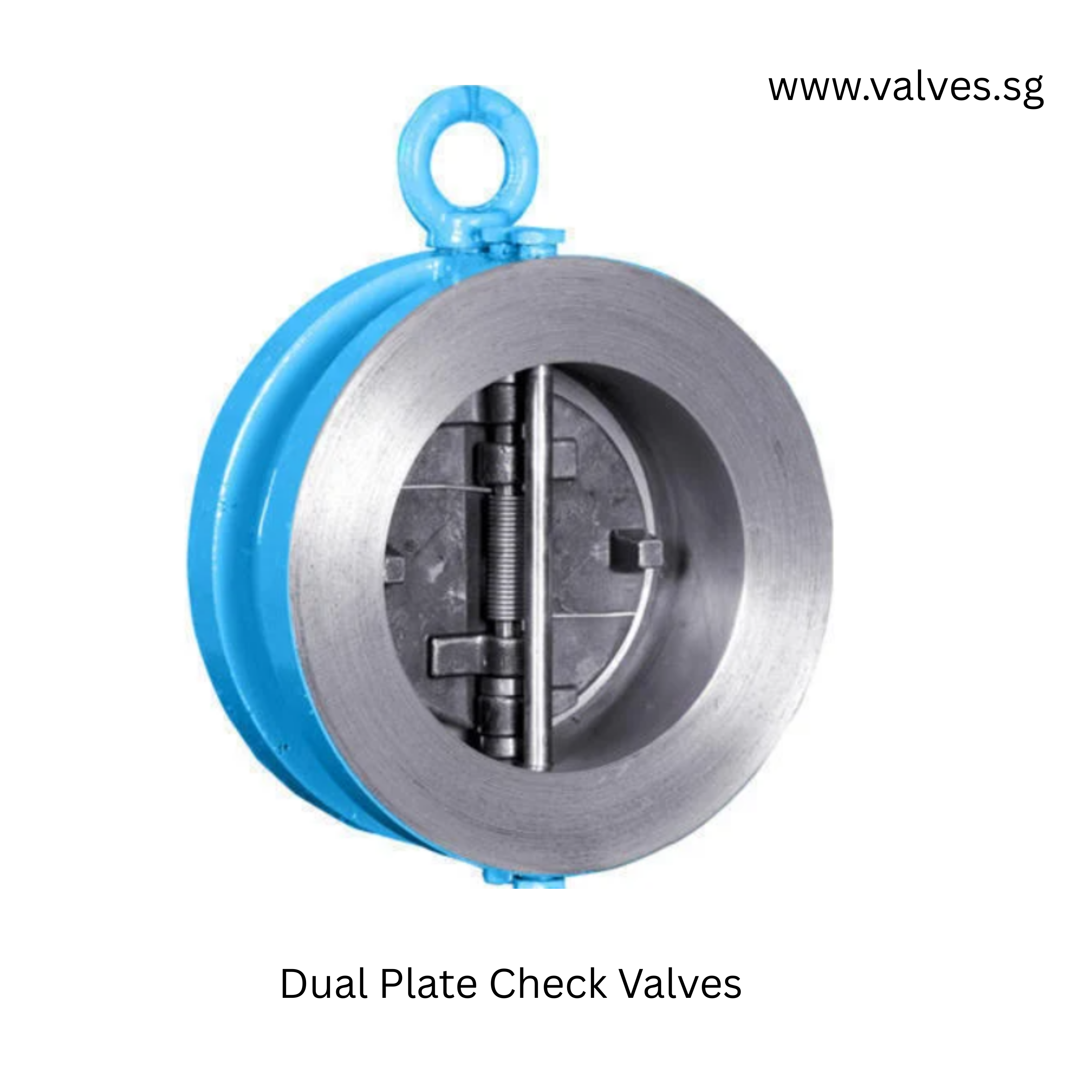 Dual Plate Wafer Check Valves
